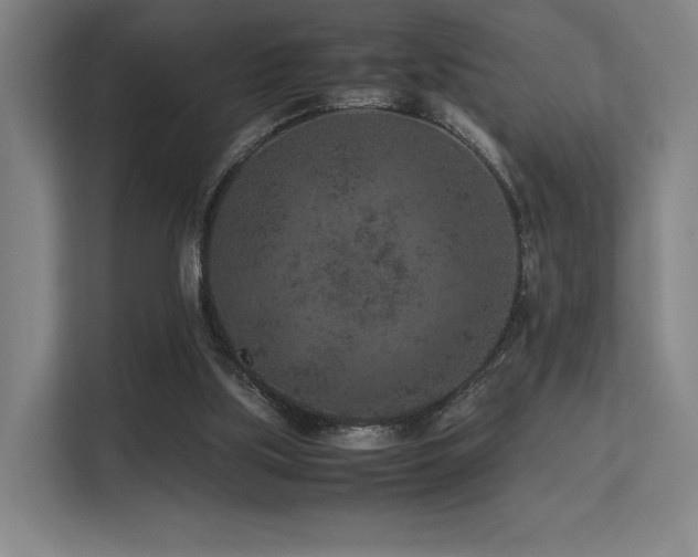 X0000113240059200909101416