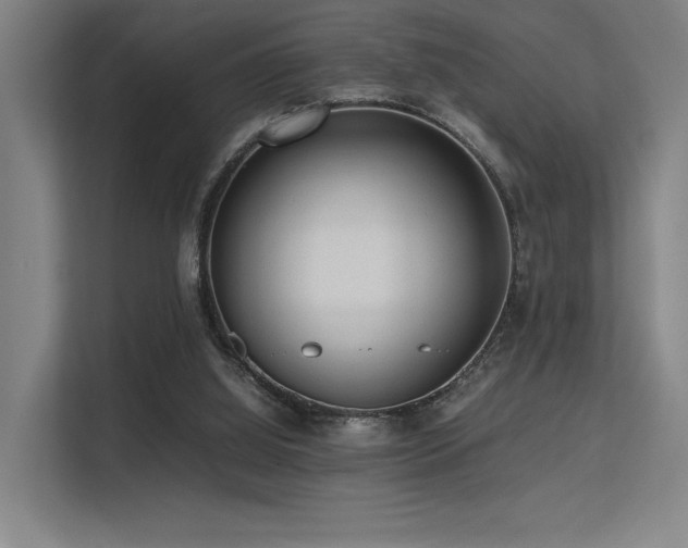 X0000113240060200909101416