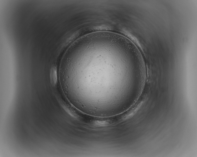 X0000113240061200909101416