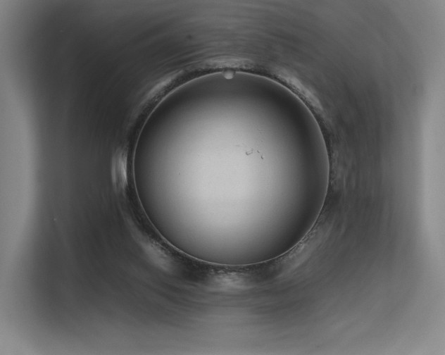 X0000113240062200909101416