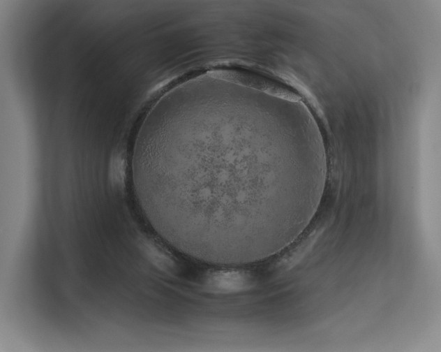 X0000113240063200909101416