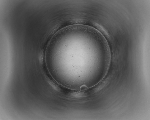 X0000113240065200909101416