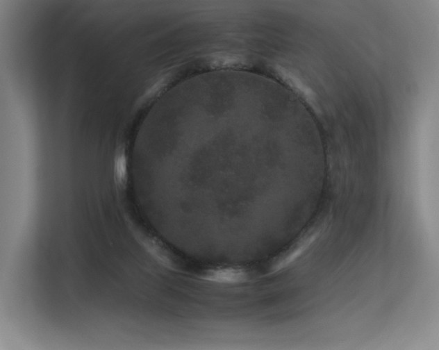 X0000113240067200909101416