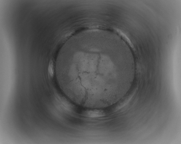 X0000113240069200909101416