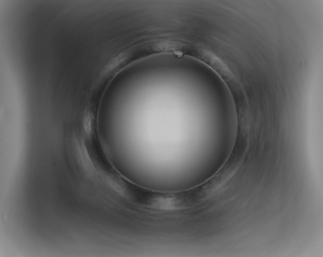 X0000113240071200909101416