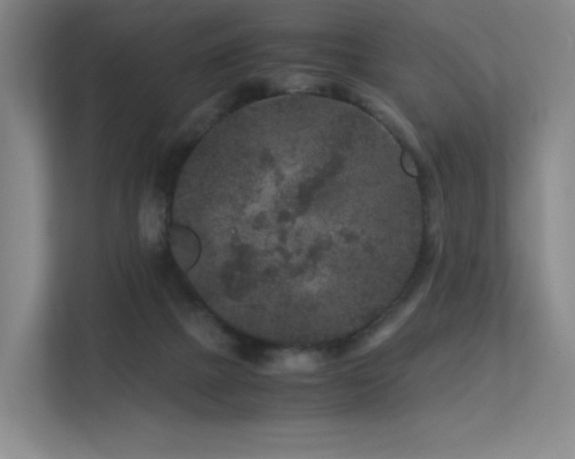 X0000113240073200909101417