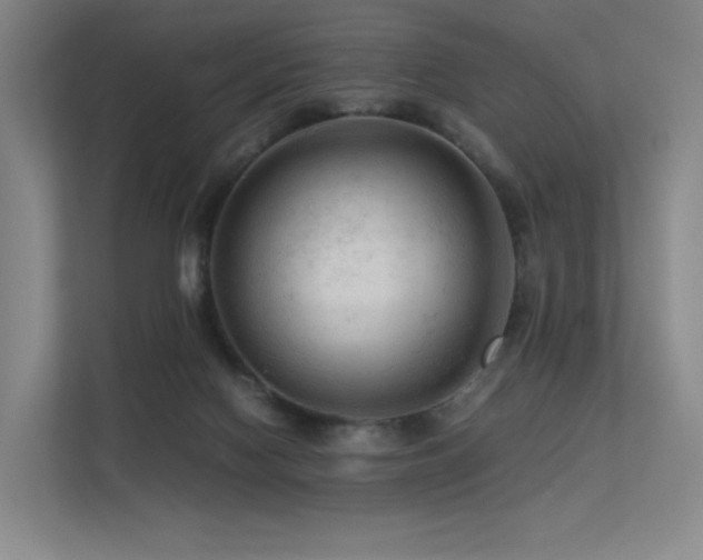 X0000113240074200909101417