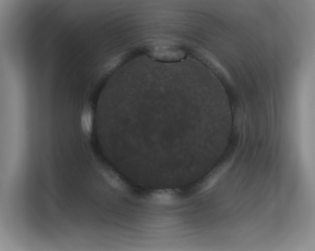 X0000113240076200909101417