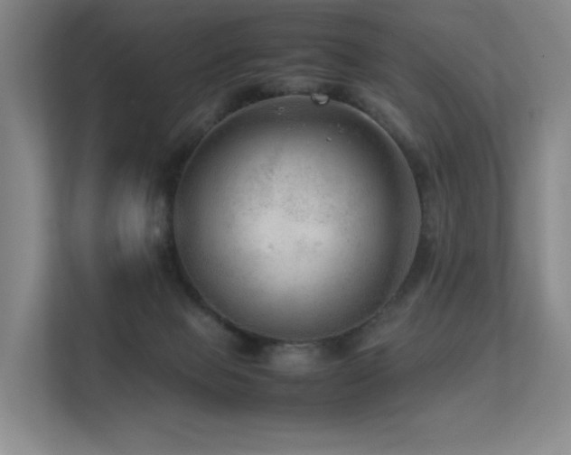 X0000113240077200909101417