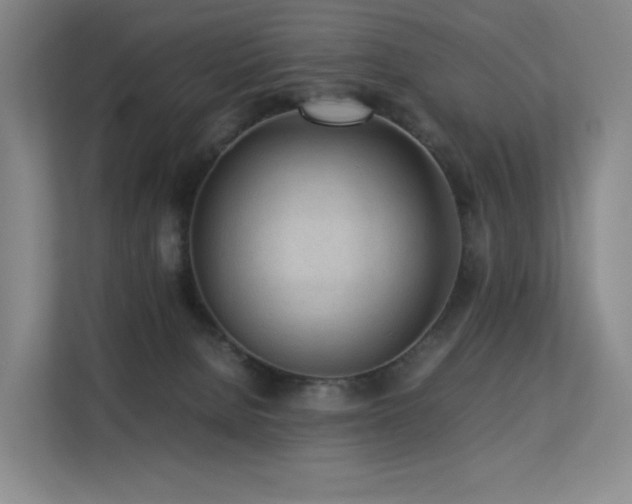 X0000113240080200909101417