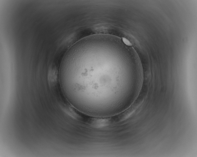 X0000113240081200909101417