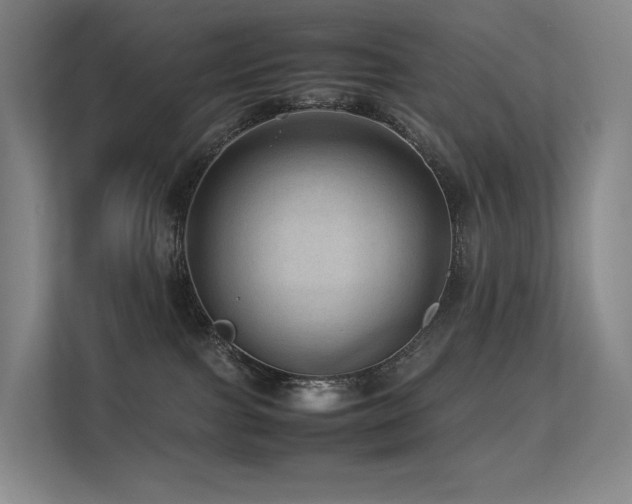 X0000113240091200909101417