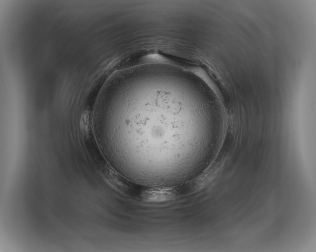 X0000113240093200909101417