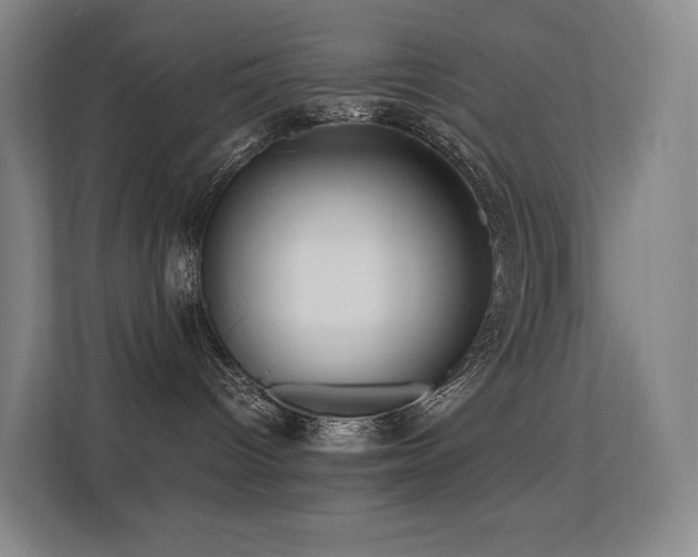 X0000113240096200909101417