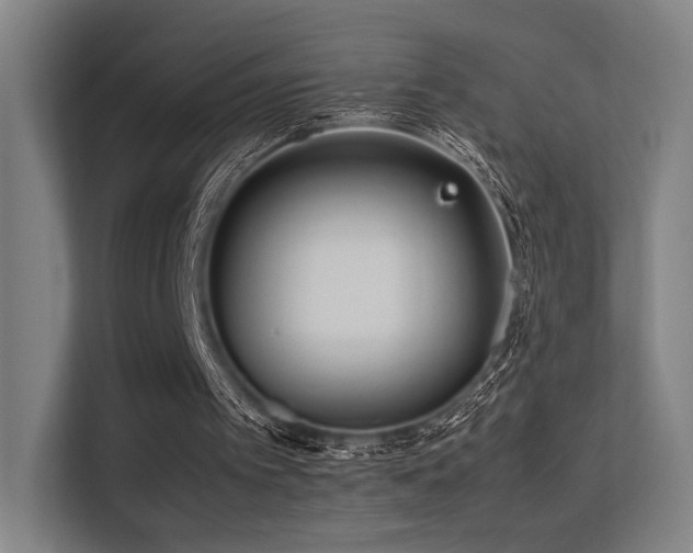 X0000113240097200909101416