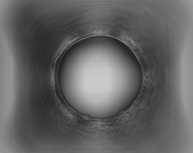 X0000113240098200909101416