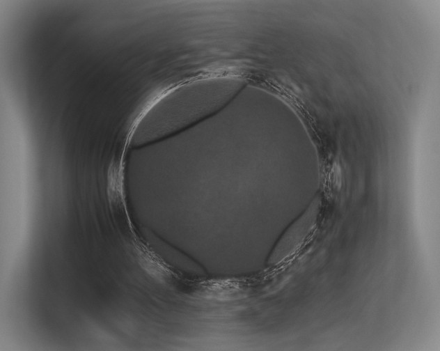 X0000113240100200909101416