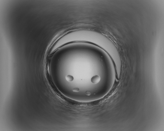 X0000113240101200909101416