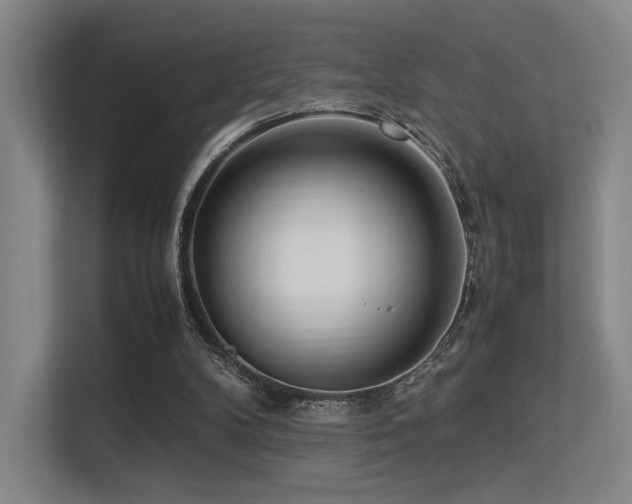 X0000113240104200909101416