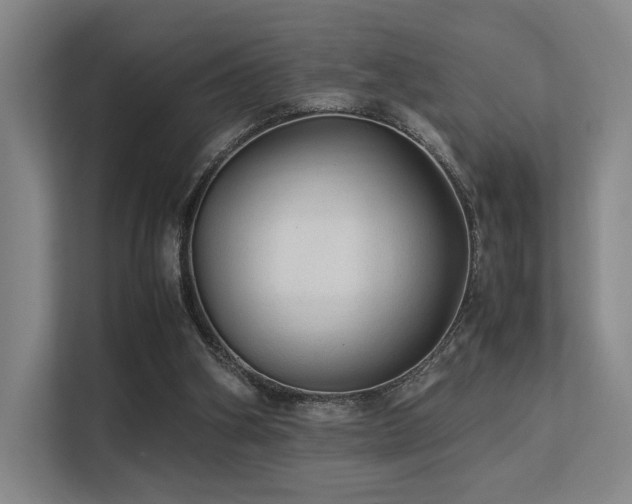 X0000113240106200909101416