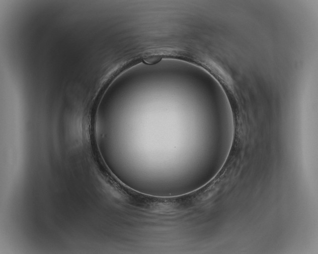 X0000113240107200909101416