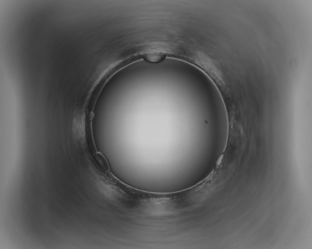 X0000113240108200909101416