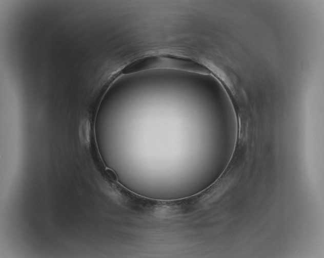 X0000113240109200909101416