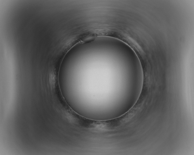 X0000113240113200909101416