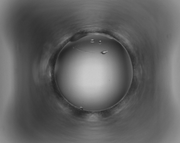 X0000113240115200909101416