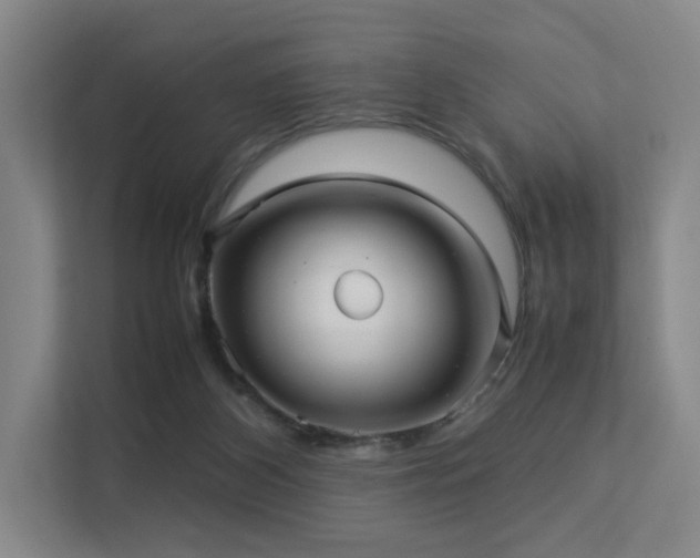 X0000113240116200909101416