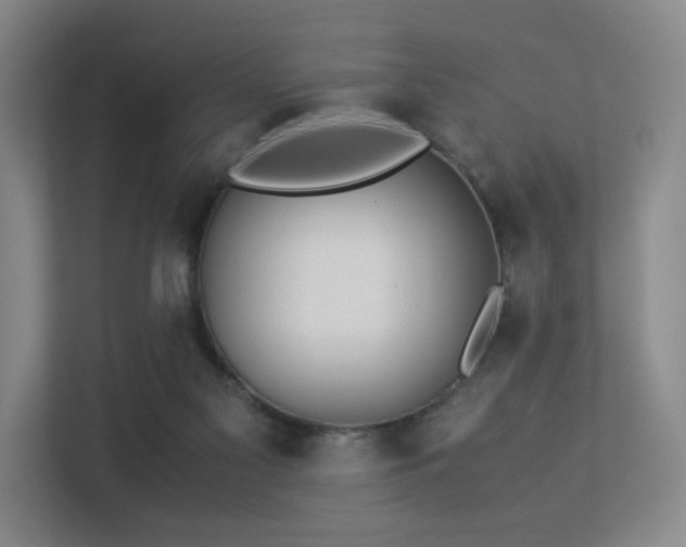 X0000113240117200909101416