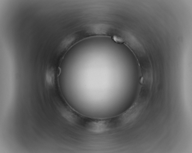 X0000113240120200909101416