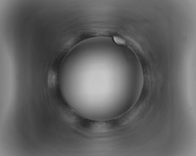 X0000113240123200909101416