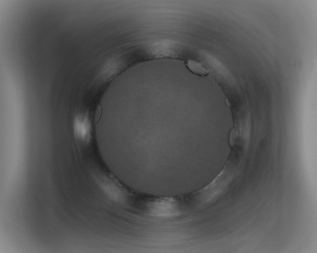 X0000113240124200909101416