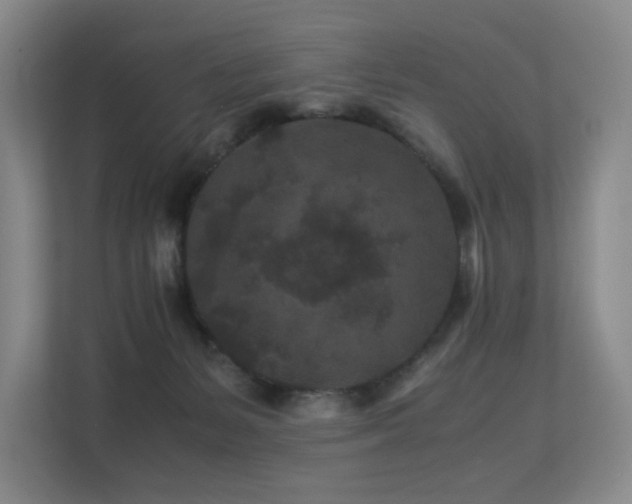 X0000113240127200909101416