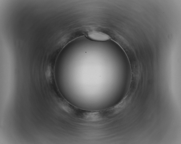 X0000113240132200909101416