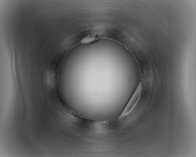 X0000113240136200909101416