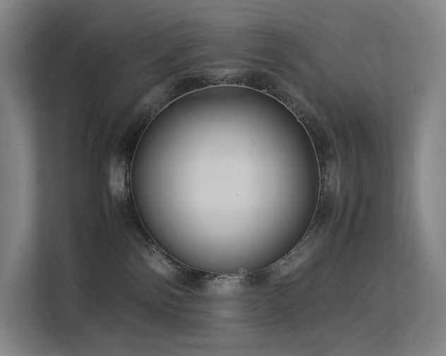 X0000113240138200909101416