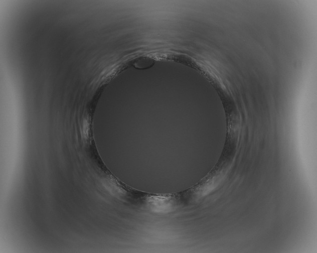 X0000113240139200909101416