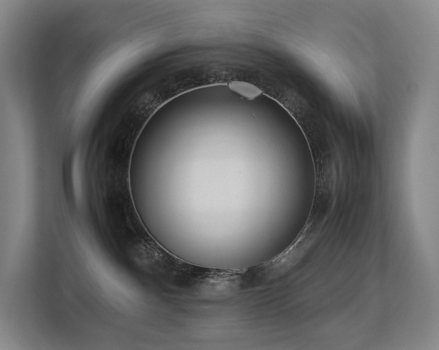 X0000113240140200909101416