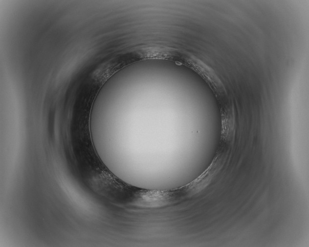 X0000113240142200909101416