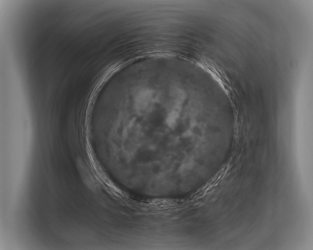 X0000113240145200909101415