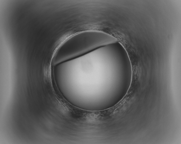 X0000113240148200909101415