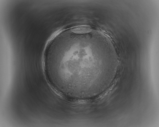 X0000113240149200909101415