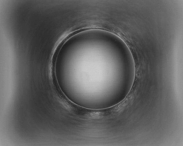 X0000113240152200909101415