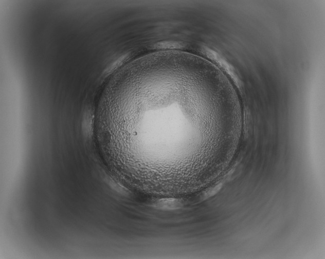 X0000113240153200909101415