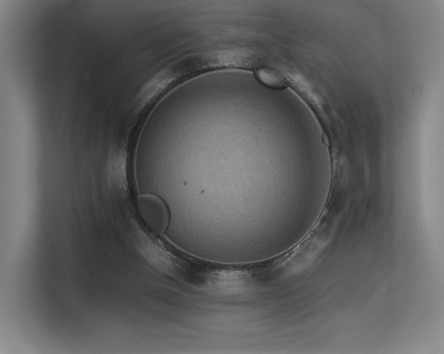 X0000113240154200909101415