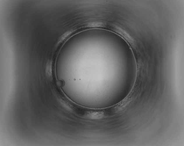 X0000113240155200909101415