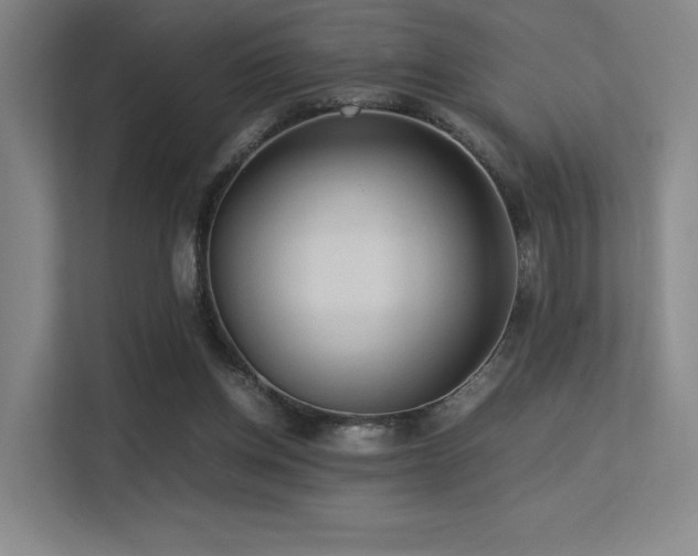 X0000113240158200909101415