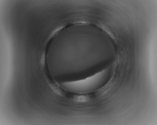 X0000113240163200909101415